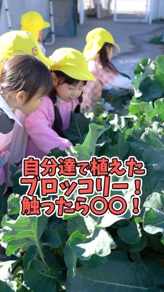 二子山幼稚園